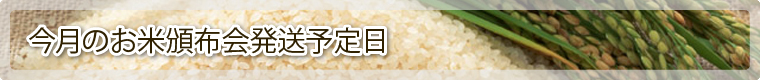 今月のお米頒布会発送予定日